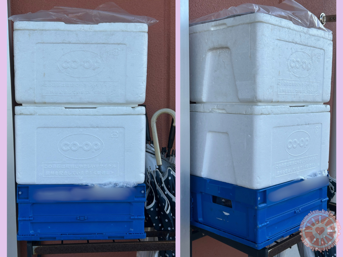 青いコンテナ1箱と発泡スチロール箱2箱で届いたコープ宅配の置き配を正面と斜めから見た様子