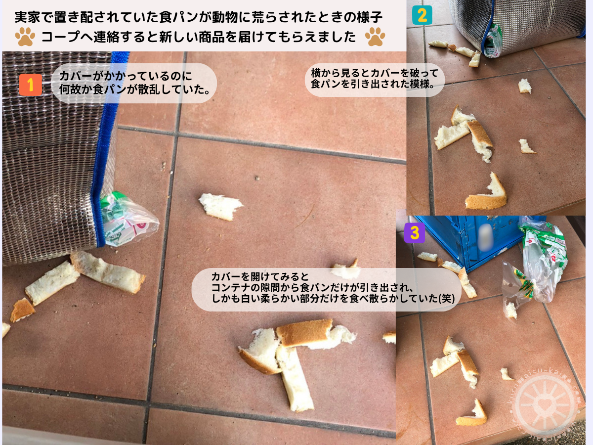 コープ宅配の置き配で食パンが動物に荒らされたときの様子